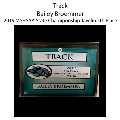 Broemmer 2019 